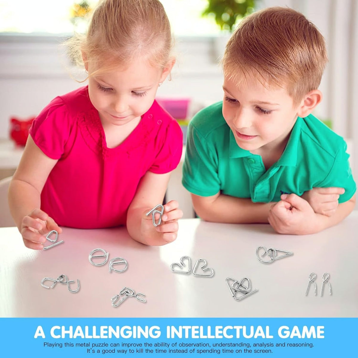 Metal Montessori Puzzle Solving