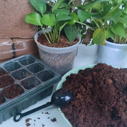 🌱Premium Organic Coconut Coir Bricks for Plants