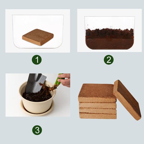 🌱Premium Organic Coconut Coir Bricks for Plants