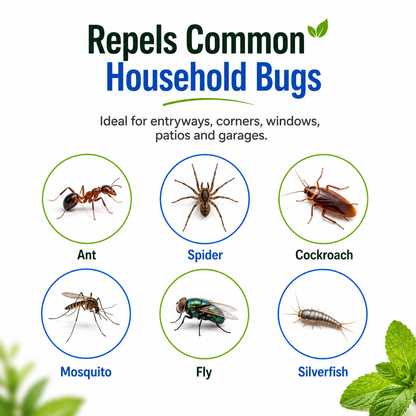 Peppermint Oil Home Bug Spray