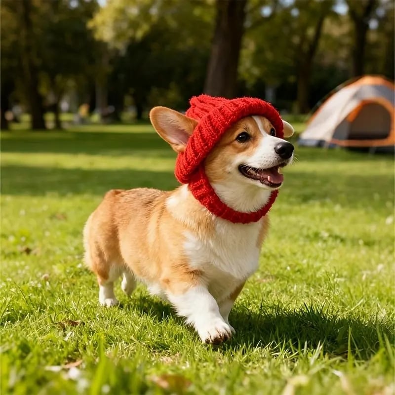 🔥 BUY 2 GET 1 FREE - 🐾Red Wool Knit Dog Beanie with Ear Flaps – Warm Winter Hat