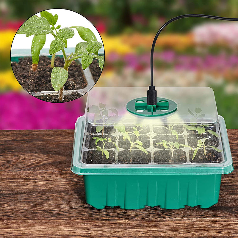 🔥Seed Starter Trays with Grow Light