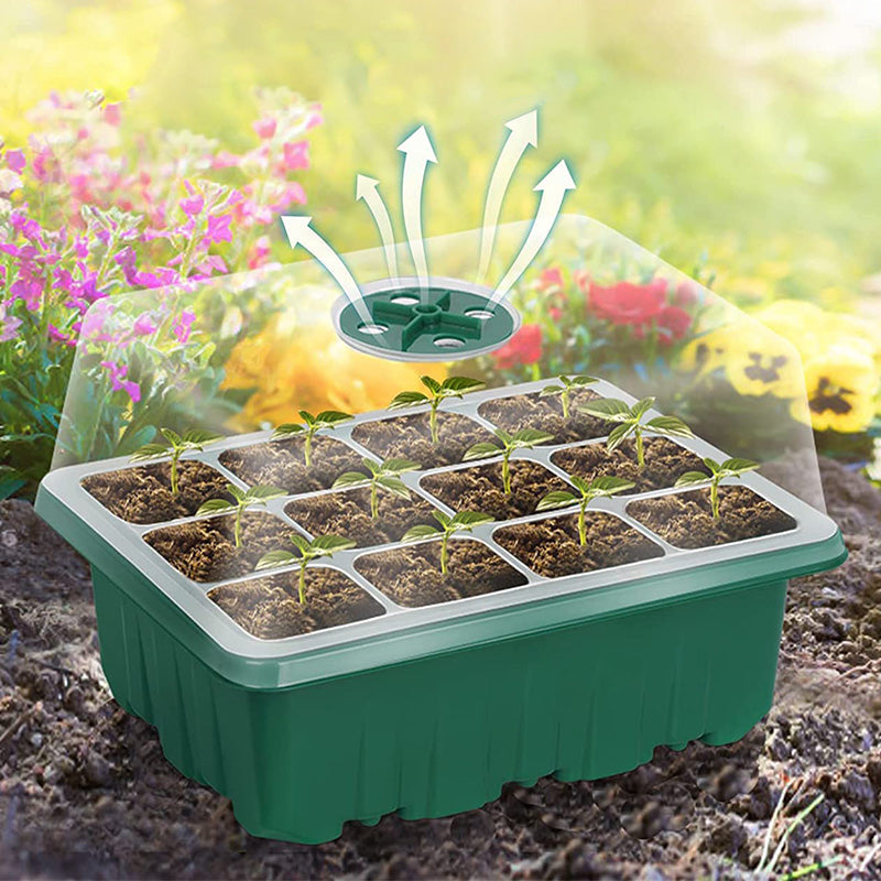 🔥Seed Starter Trays with Grow Light