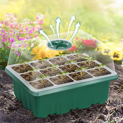 🔥Seed Starter Trays with Grow Light