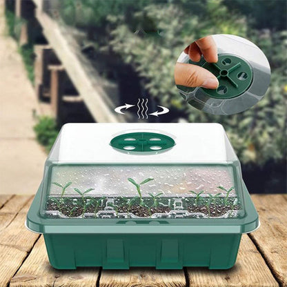 🔥Seed Starter Trays with Grow Light