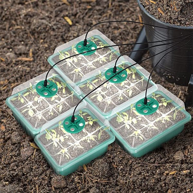 🔥Seed Starter Trays with Grow Light