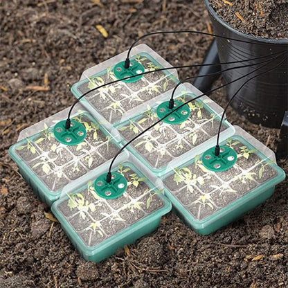 🔥Seed Starter Trays with Grow Light