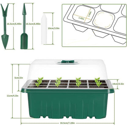 🔥Seed Starter Trays with Grow Light