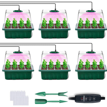 🔥Seed Starter Trays with Grow Light