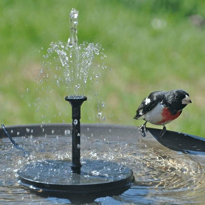 Libiyi Solar Powered Water Fountain